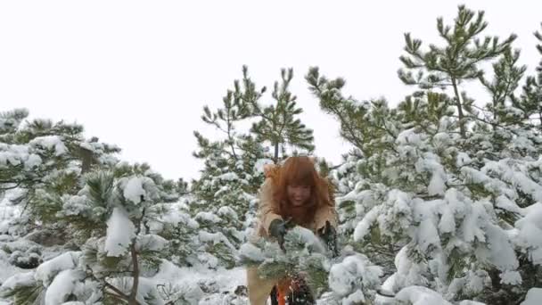 Jovem mulher joga a neve das árvores — Vídeo de Stock