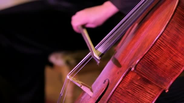 Músico violinista tocando el violonchelo — Vídeos de Stock