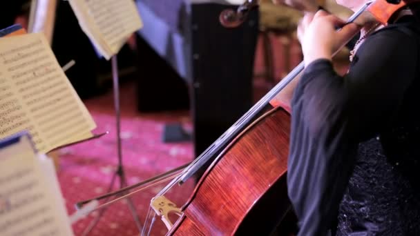 Ženské hudebník hraje na violoncello na symfonický koncert — Stock video