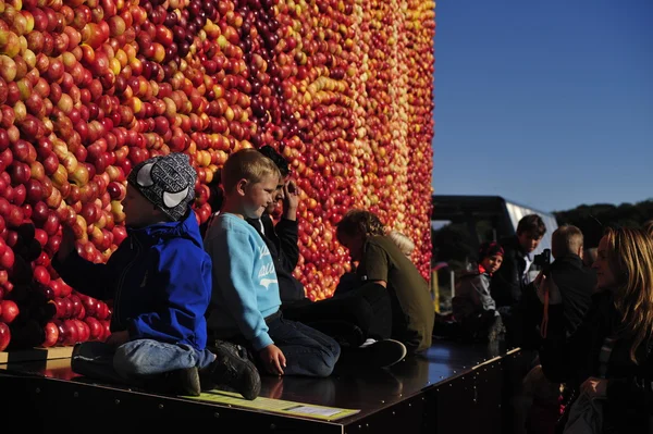 Apple art. Picture of apples. Parents take pictures of children. — Stock Photo, Image