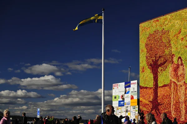 Elma sanat. Elma resmi.