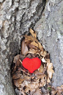Bir ağaçta kırmızı kalp