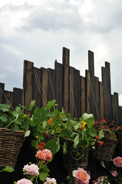 Decoration in garden — Stock Photo, Image