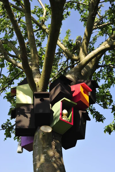 ağaç üzerinde kuş evleri