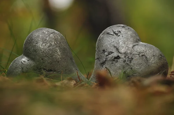 Dos corazones uno al lado del otro —  Fotos de Stock