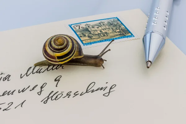 Snail on envelope — Stock Photo, Image