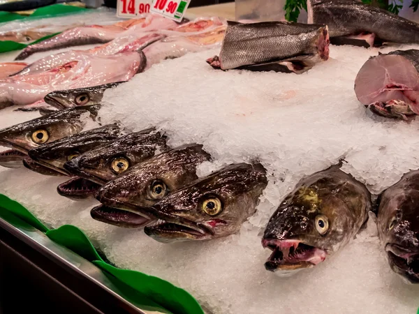 Vissen op de vismarkt — Stockfoto