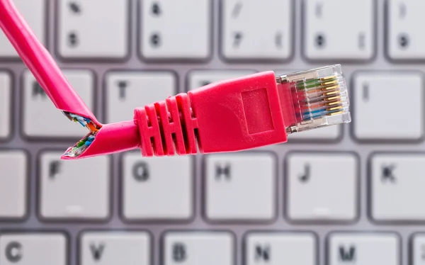 Defective network cable on keyboard — Stock Photo, Image