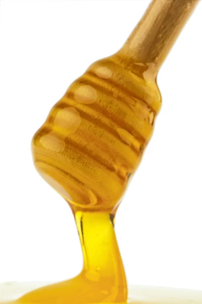 Honey against a white background — Stock Photo, Image