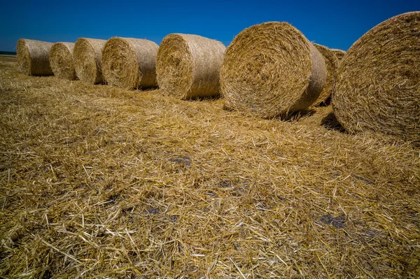 Cereal bales of straw — Stock Photo, Image