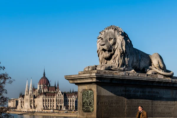 Hongarije, Boedapest, Parlement — Stockfoto