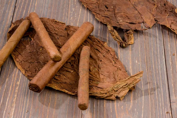 Cigars and tobacco leaves — Stock Photo, Image