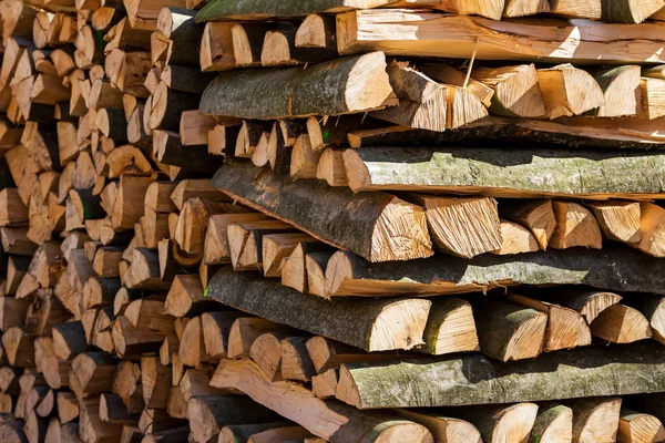 Tronchi d'albero tagliati a rovescio — Foto Stock