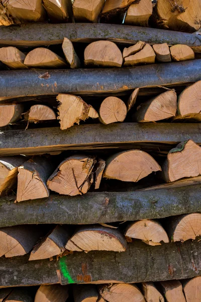 Tronchi d'albero tagliati a rovescio — Foto Stock