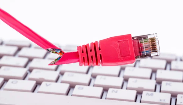 Broken network cable on keyboard — Stock Photo, Image