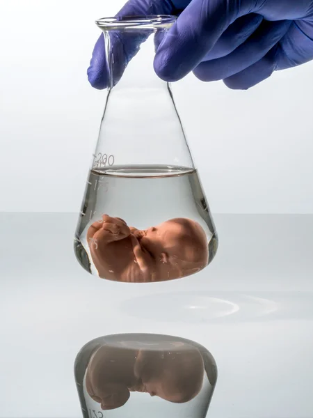 Symbolfoto embryo, genetische manipulatie en abortus. schangersch — Stockfoto