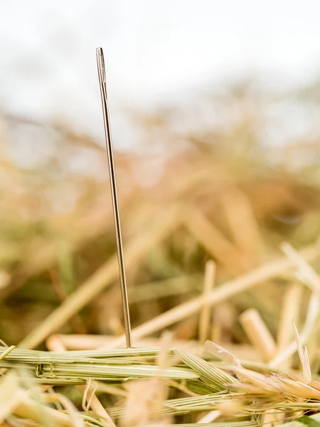 Needle in a haystack. saying for challenge in managemen — Stock Photo, Image