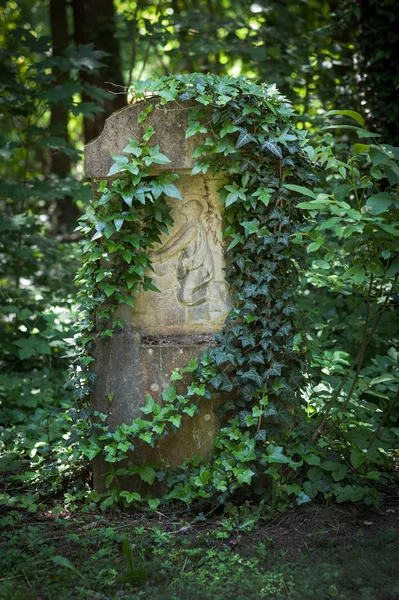 Idyllic overgrown grave with ivy — Stock Photo, Image