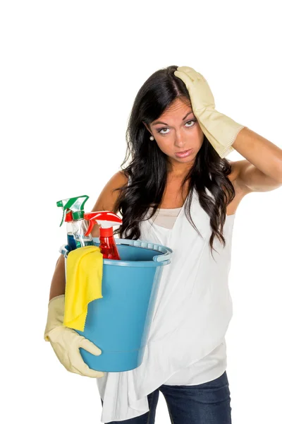 Housewife annoys preen over — Stock Photo, Image