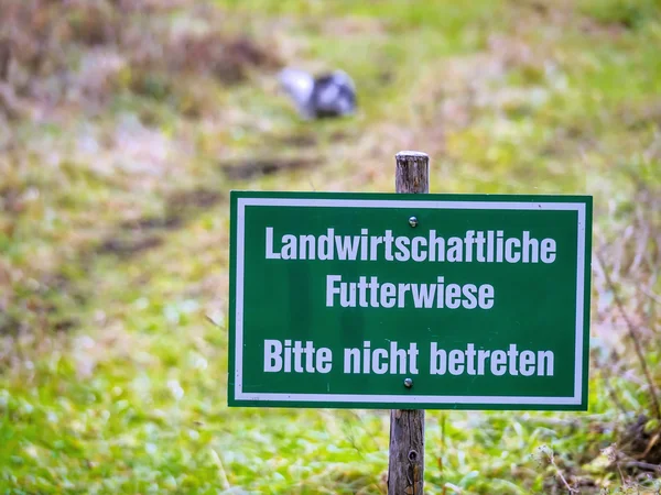 Landwirtskaffeemäßige Futterwiese — Stockfoto