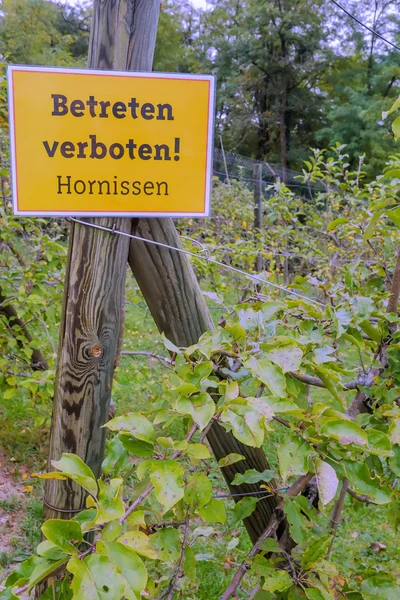 Uyarı işareti hornets — Stok fotoğraf