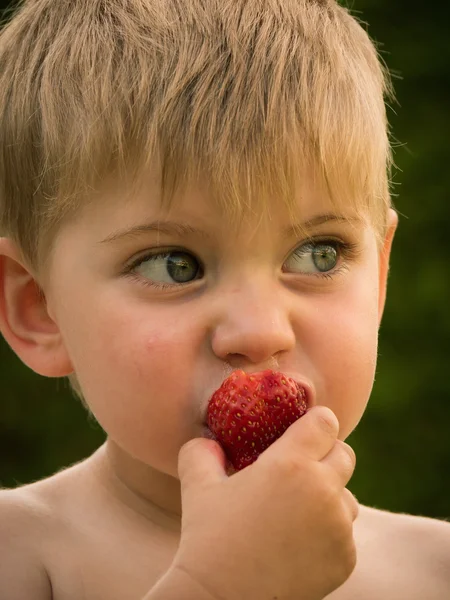 Мальчик летом ест клубнику из сада — стоковое фото