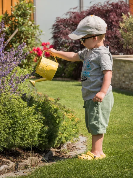 Little boy with a watering can watering flowers in summer — Stock Photo, Image