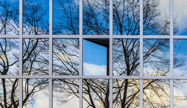 Árbol reflejado en el edificio de oficinas con la ventana abierta — Foto de Stock