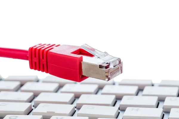 Network cable on keyboard — Stock Photo, Image