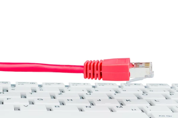 Network cable on keyboard — Stock Photo, Image