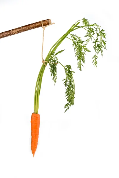 Fresh carrots on floor — Stock Photo, Image