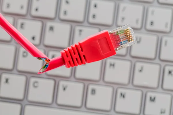 Faulty network cable on keyboard — Stock Photo, Image