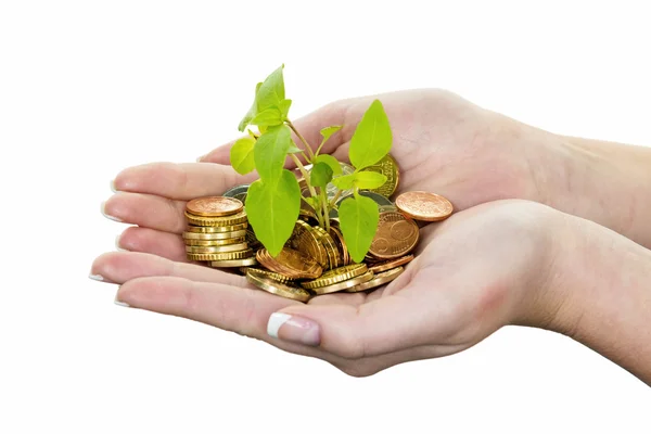 Dinero y planta. símbolo foto guardar — Foto de Stock