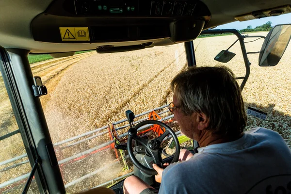 Buğday hasat, tahıl alan — Stok fotoğraf