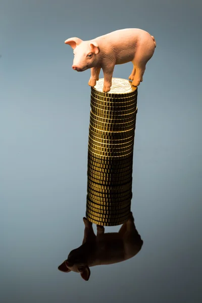 Pig on stack of coins — Stock Photo, Image