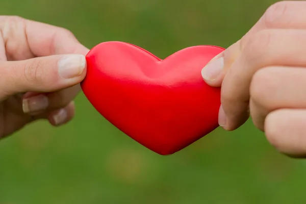 Hands holding heart — Stock Photo, Image