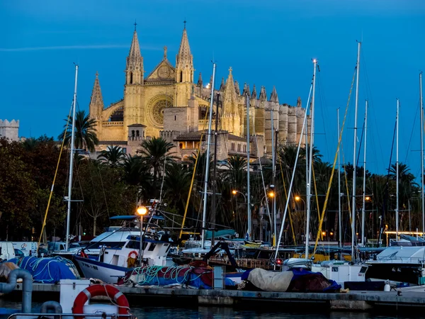 İspanya, mallorca, palma Katedrali'ne — Stok fotoğraf