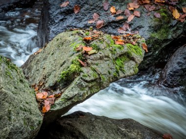 creek with running water clipart