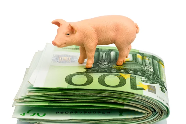 Schwein auf Euro-Banknoten Geld — Stockfoto