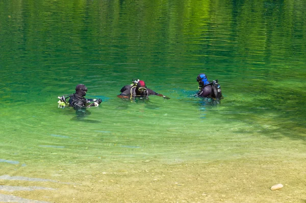 Diving in a lake — Stock Photo, Image