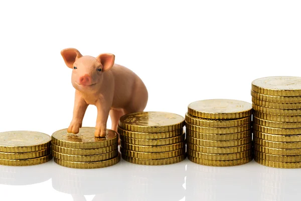 Schwein auf Stapel von Münzen — Stockfoto