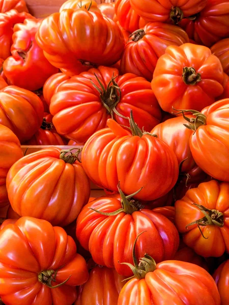 Fleischtomaten — Stockfoto