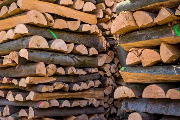 Vice-cut tree trunks — Stock Photo, Image