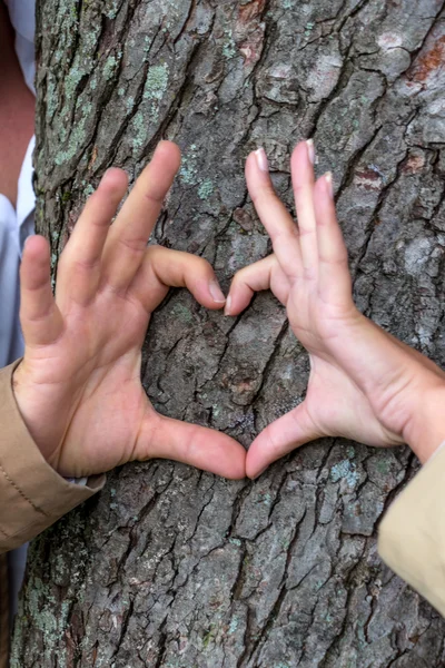 Paar umwirbt sich hinter einem Baum — Stockfoto