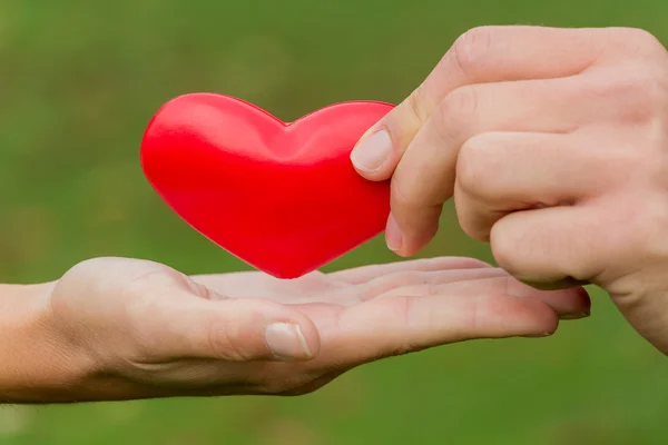 Hands holding heart — Stock Photo, Image