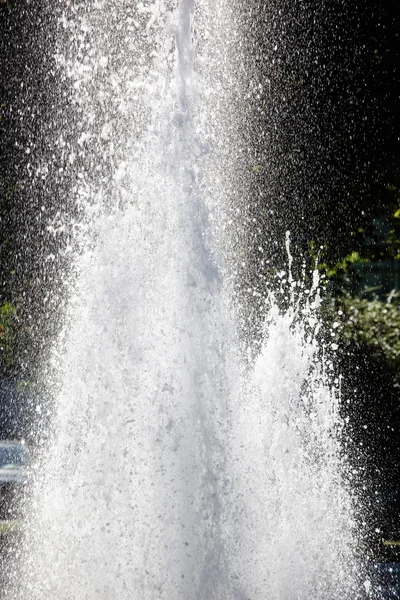 Fountain in the park — Stock Photo, Image