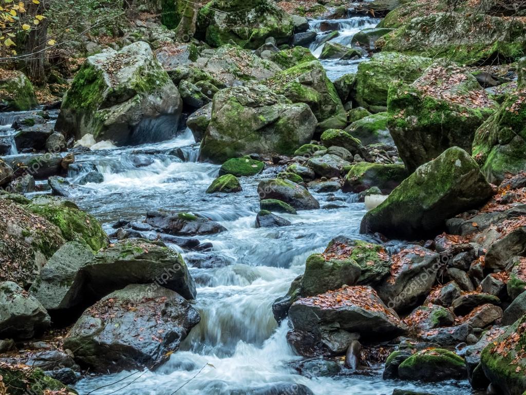 Arroyo con agua corriente — Foto de stock © ginasanders #59165115