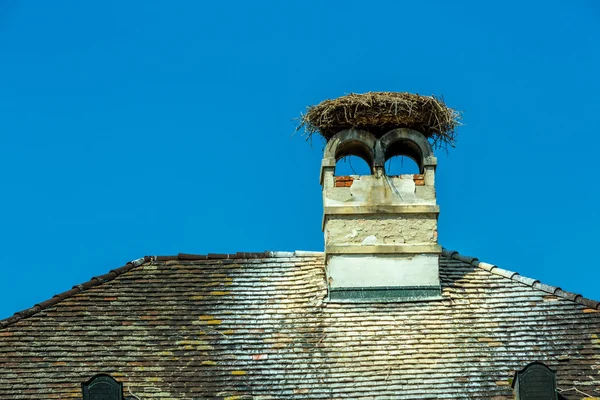 オーストリア、錆。コウノトリの巣 — ストック写真
