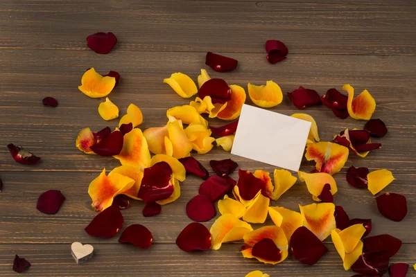 Rosas para el día de San Valentín y el día de las madres — Foto de Stock