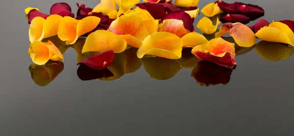 Rozen voor de dag van valentijnskaarten en moederdag — Stockfoto